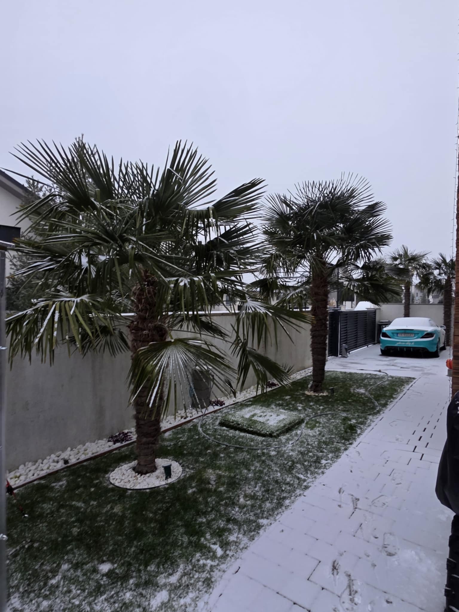 4d8e8d14-fe60-43d7-9641-24baca5307ee (1)